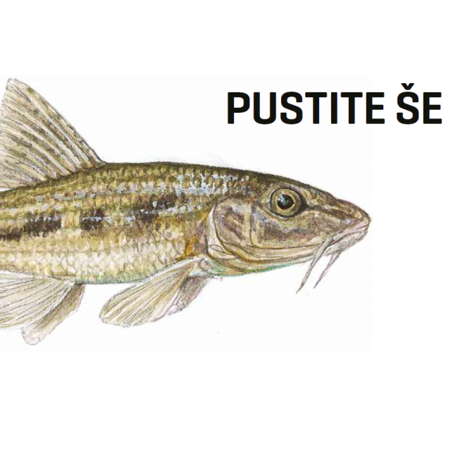 Pustite še meni malo Save!