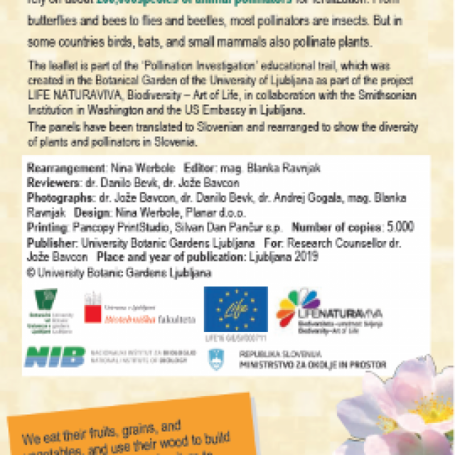 Discover the world of pollination in Botanical Garden