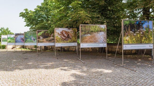 Fotografska razstava »BIOTSKA PESTROST JE OGROŽENA«