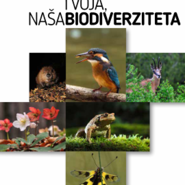 Brošura o biodiverziteti – SLO