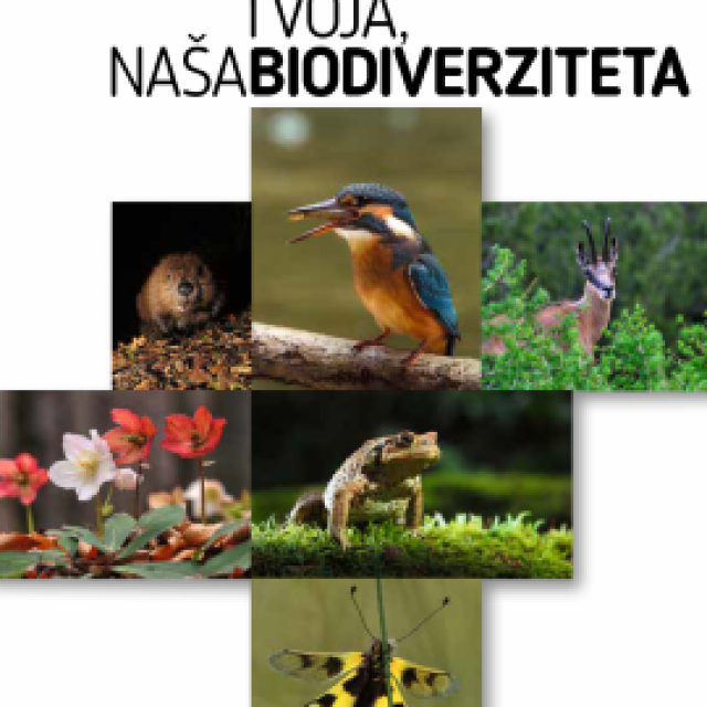 Brochure about biodiversity – SLO