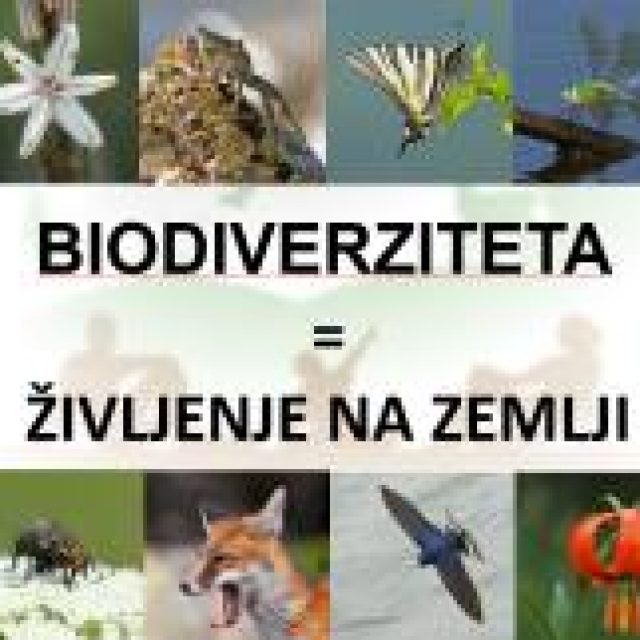 Prosojnice za predavanje o biodiverziteti