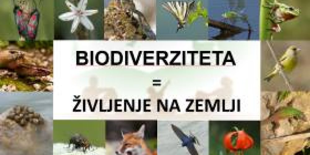 Prosojnice za predavanje o biodiverziteti