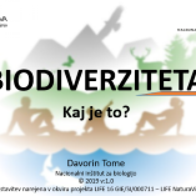 PowerPoint about biodiversity for lectures in primary schools