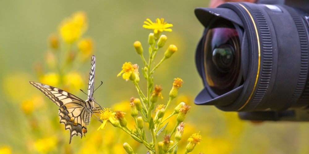 Foto in video natečaj o biodiverziteti za osnovnošolce