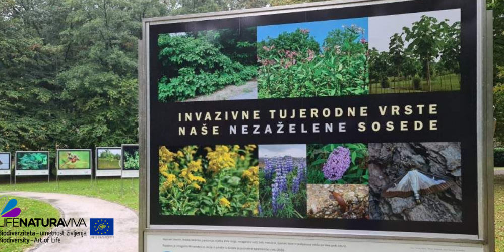Zunanja razstava o invazivnih vrstah na gradu Podsreda