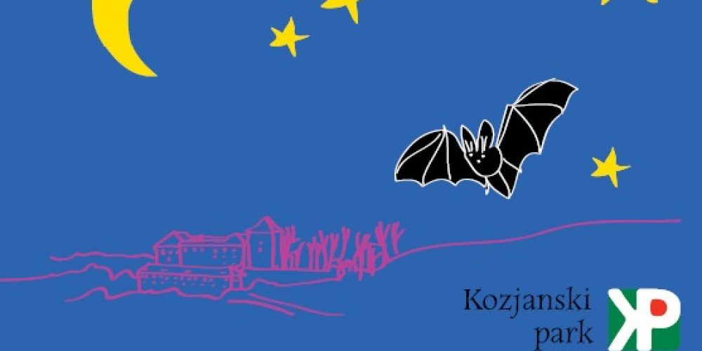 Letni kino pod grajskimi zvezdami