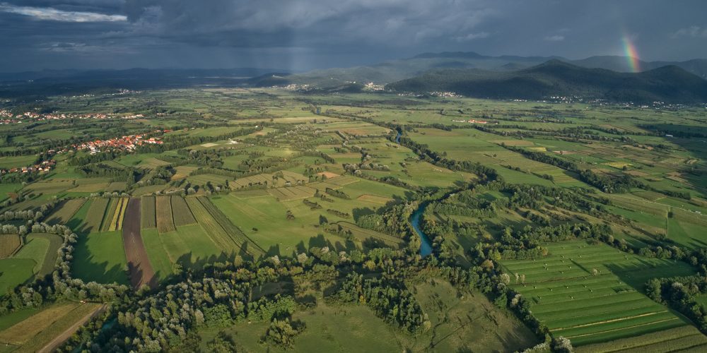 Razstava: Ekosistemi Slovenije in biodiverziteta v Kamniku