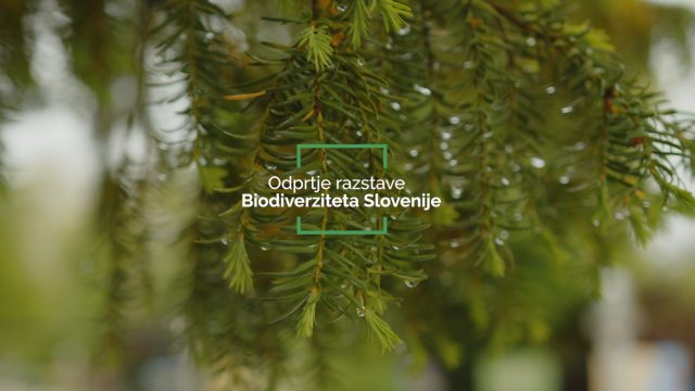 Odprtje razstave Biodiverziteta Slovenije