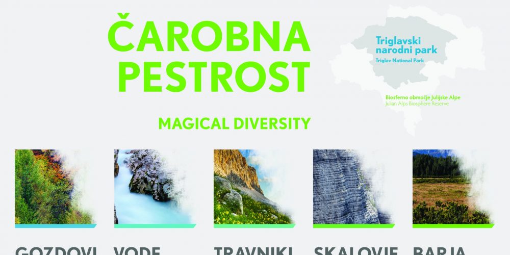 Zunanja razstava “Čarobna pestrost”