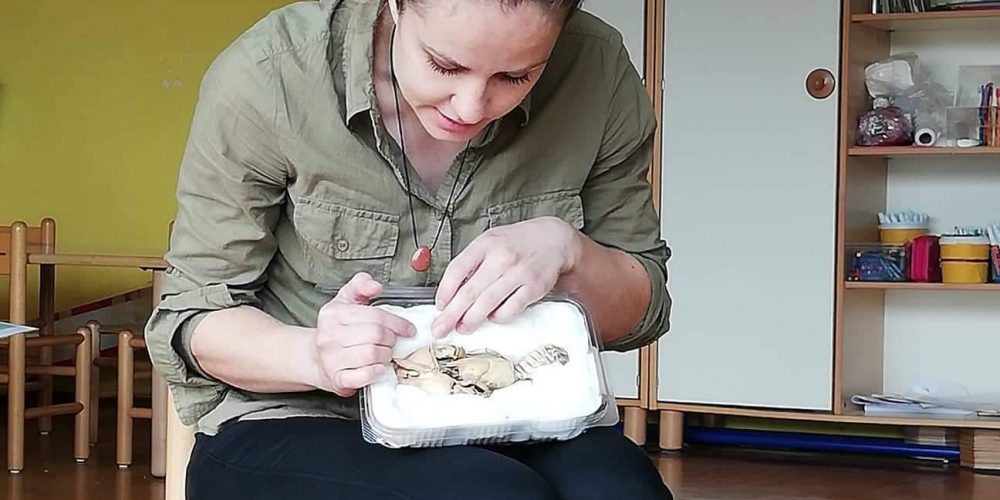 Spoznavanje biodiverzitete za najmlajše