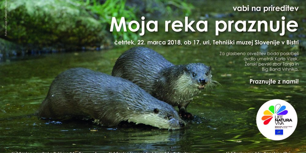 Moja reka praznuje