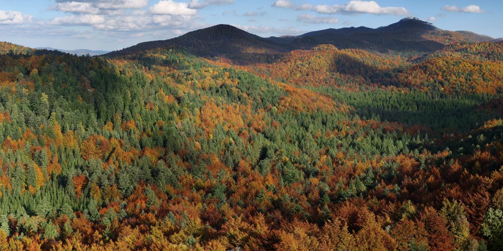Razstava: Ekosistemi Slovenije in biodiverziteta