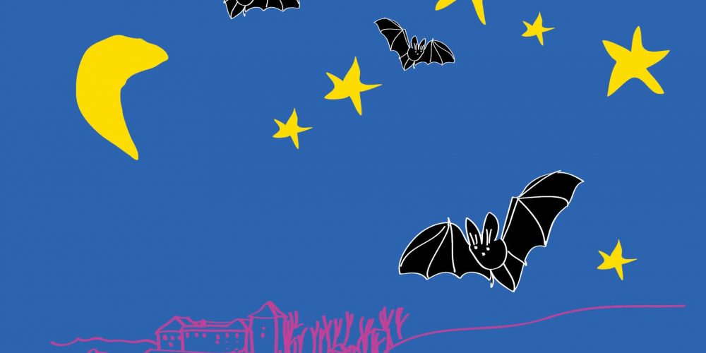 Prva letošnja predstava “Kina pod grajskimi zvezdami”
