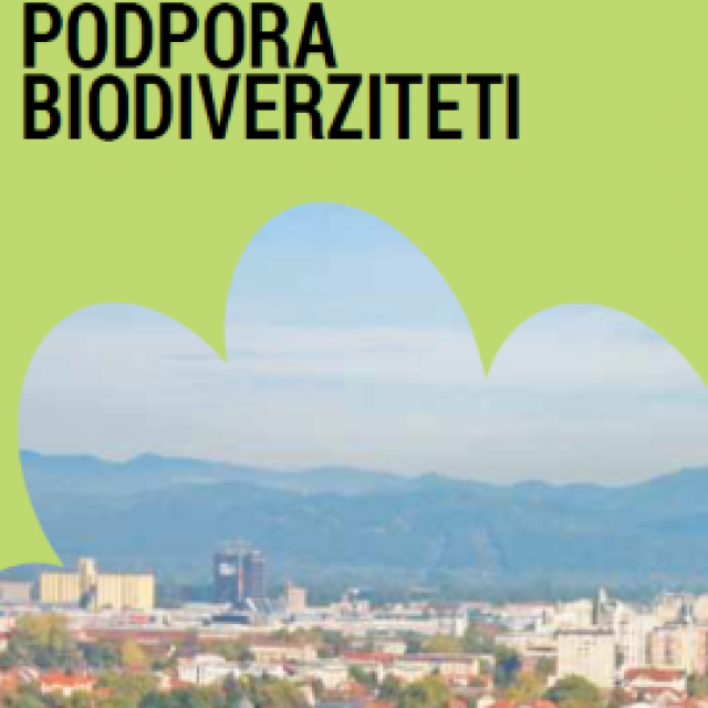 Green infrastructure – support to biodiversity