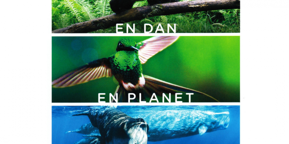 POLETNI KINO: Zemlja: nepozaben dan