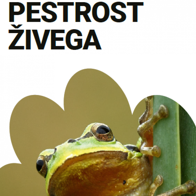 Čudovita pestrost živega – razlaga tem za pogovor