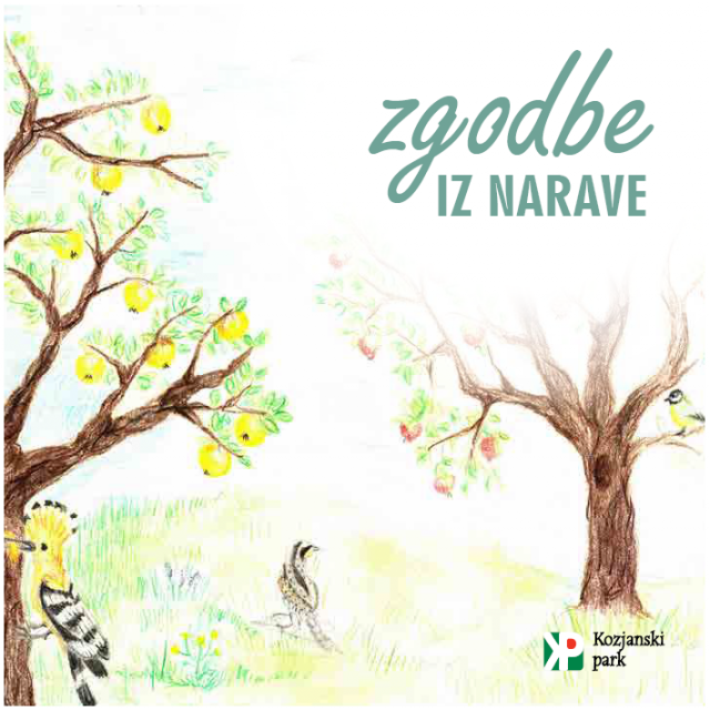 Razstava Zgodbe iz narave