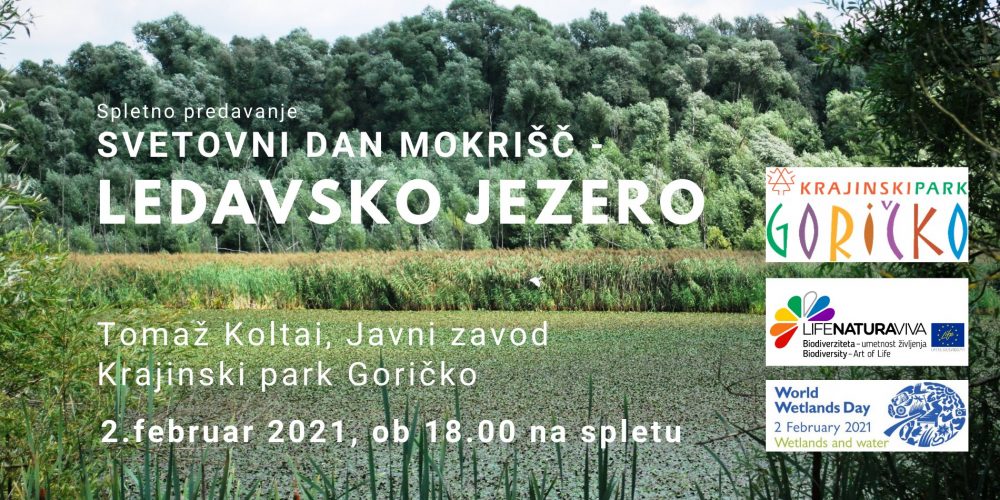 Svetovni dan mokrišč – Ledavsko jezero