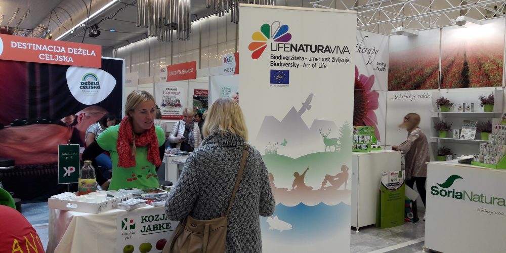 Festival za 3. življenjsko obdobje