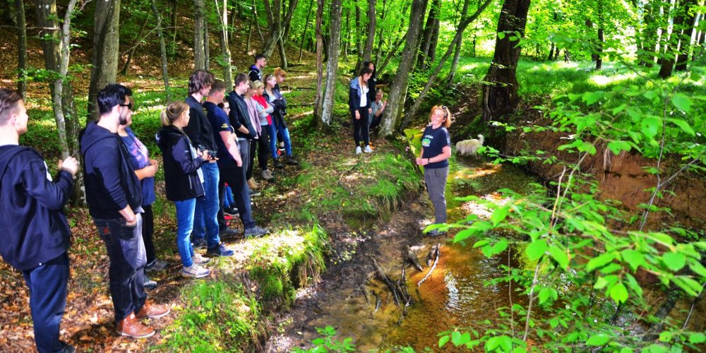 Naravovarstveni tabor 2018, Grm Novo mesto