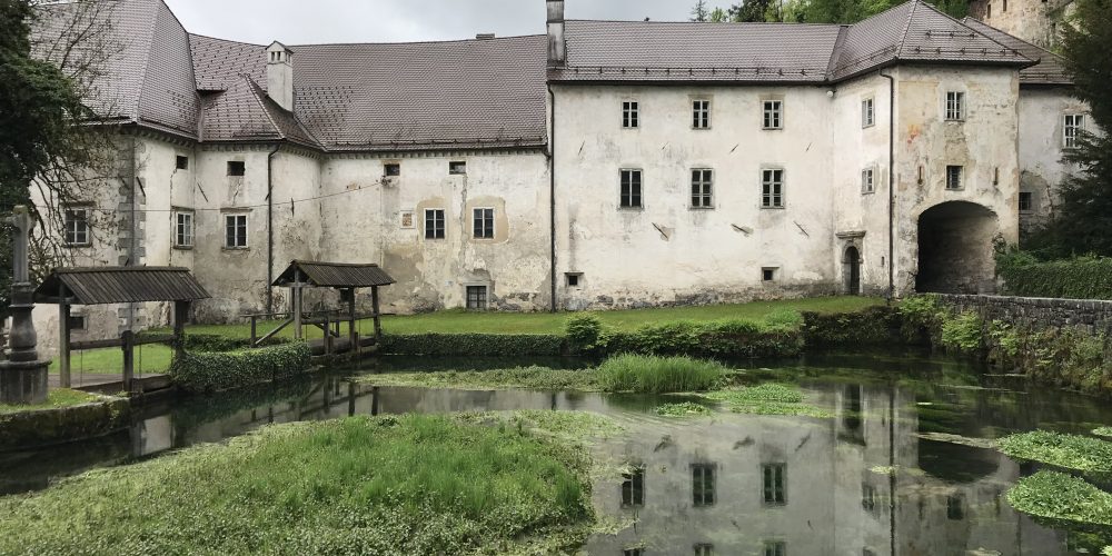 Voden izlet – zakladi Krajinskega parka Ljubljansko barje