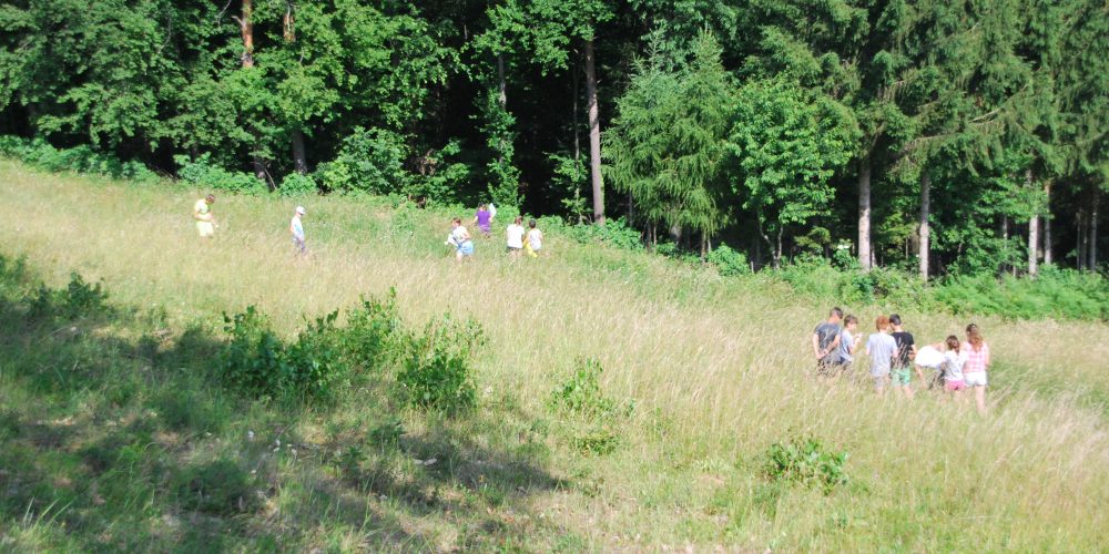 Naravoslovni dan na OŠ Kuzma – Biodiverziteta travnikov na Goričkem