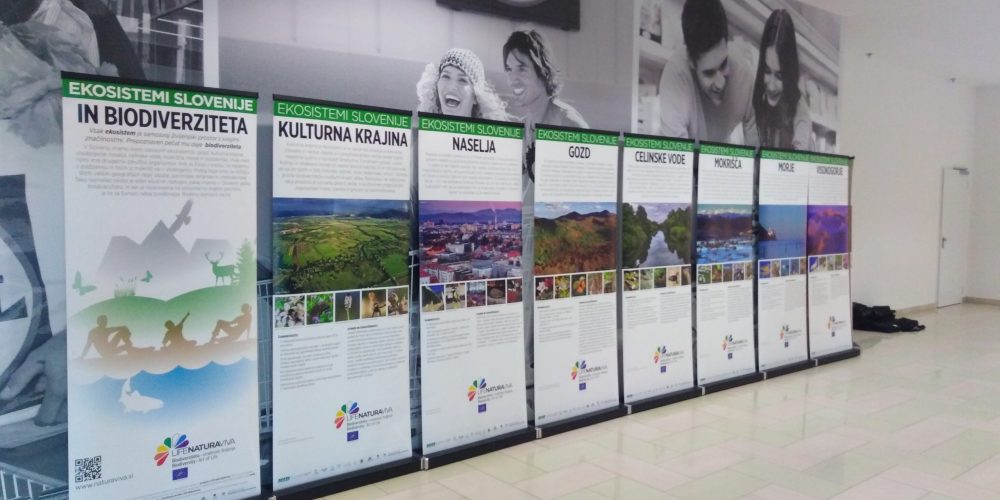 Razstava Ekosistemi Slovenije in biodiverziteta v Murski Soboti