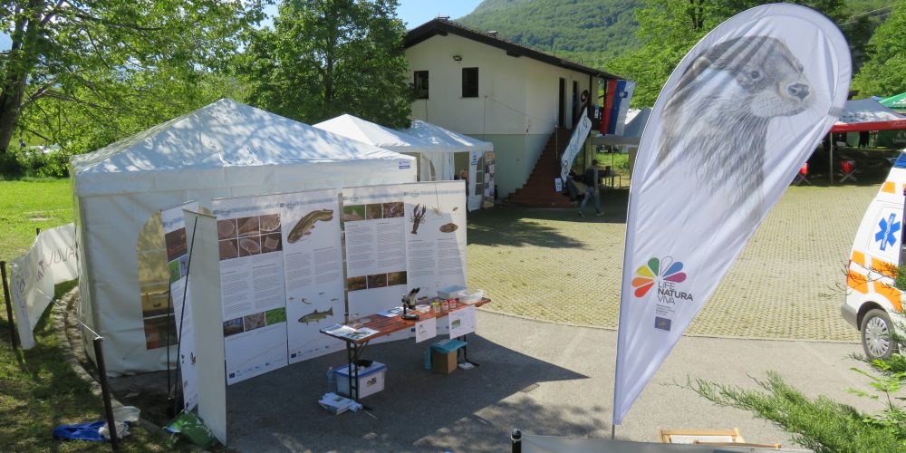 O biodiverziteti na športnem dnevu