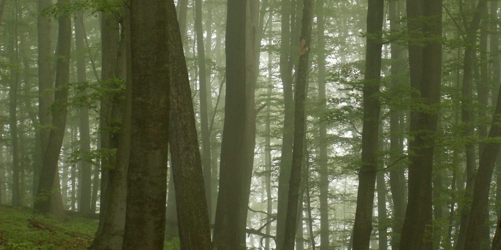 PREDAVANJE KPLB NA SREDNJI ŠOLI ZA OBLIKOVANJE IN FOTOGRAFIJO
