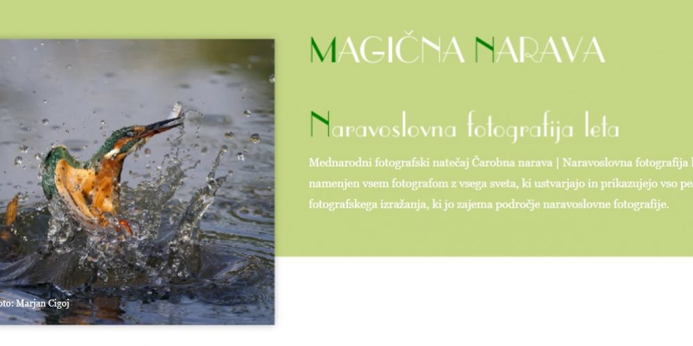 Fotografski natečaj Magična narava 2020