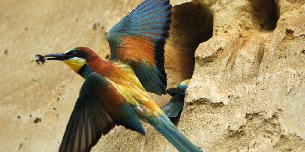 Predstavitev projekta Life Naturaviva Šolskemu centru Velenje